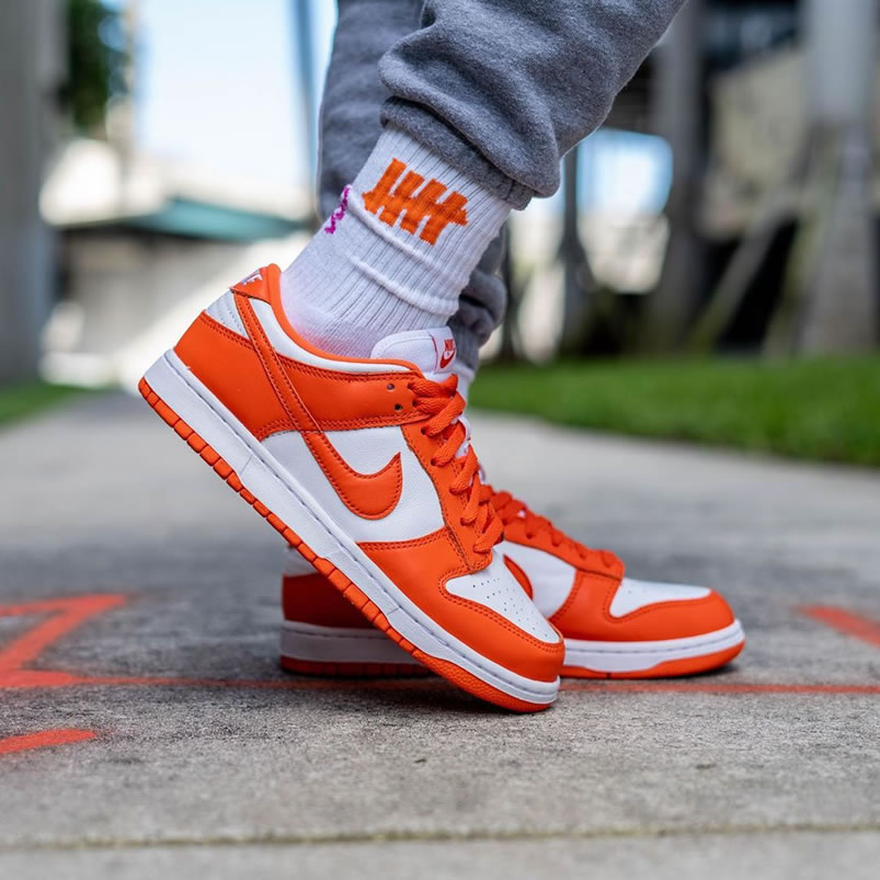 Nike Sb Dunk Low Sp Syracuse Orange Blaze Cu1726 101 On Feet (1) - www.newkick.org Nike Sb Dunk Low Sp Syracuse Orange Blaze Cu1726 101 On Feet (1) - www.newkick.org