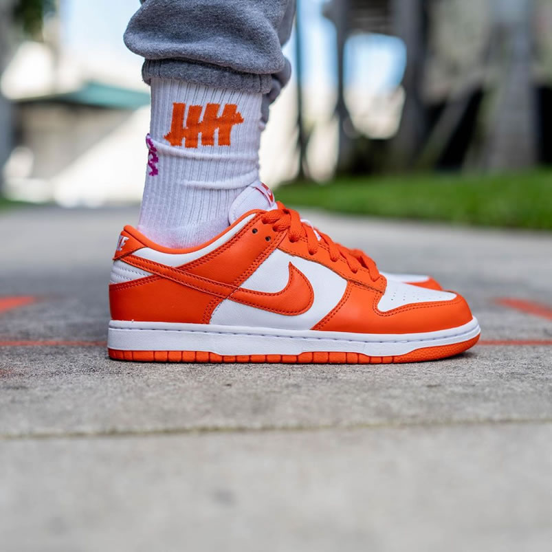 Nike Sb Dunk Low Sp Syracuse Orange Blaze Cu1726 101 On Feet (3) - www.newkick.org Nike Sb Dunk Low Sp Syracuse Orange Blaze Cu1726 101 On Feet (3) - www.newkick.org