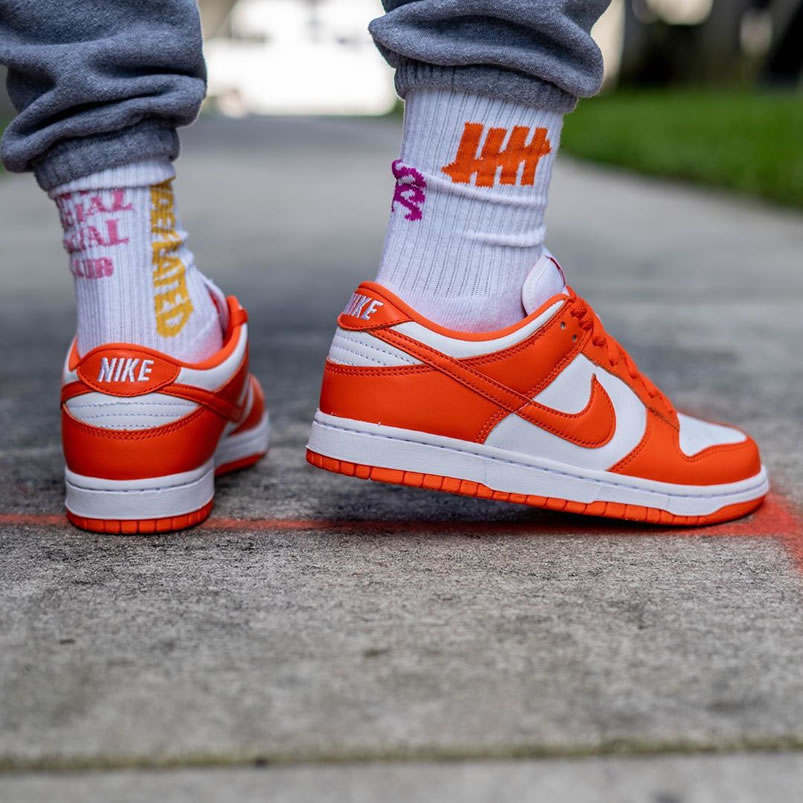 Nike Sb Dunk Low Sp Syracuse Orange Blaze Cu1726 101 On Feet (5) - www.newkick.org Nike Sb Dunk Low Sp Syracuse Orange Blaze Cu1726 101 On Feet (5) - www.newkick.org