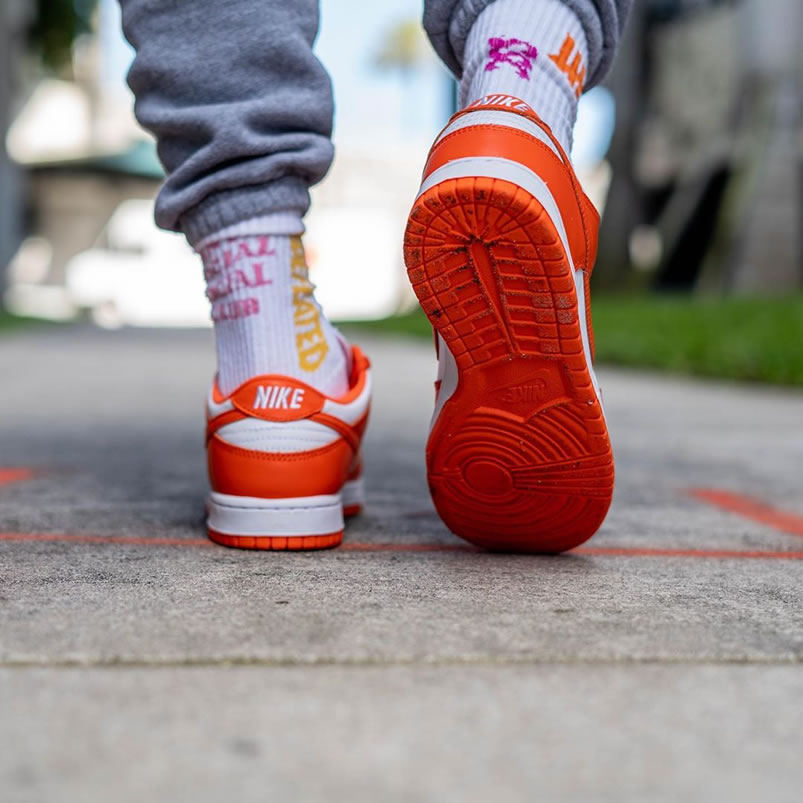 Nike Sb Dunk Low Sp Syracuse Orange Blaze Cu1726 101 On Feet (7) - www.newkick.org Nike Sb Dunk Low Sp Syracuse Orange Blaze Cu1726 101 On Feet (7) - www.newkick.org
