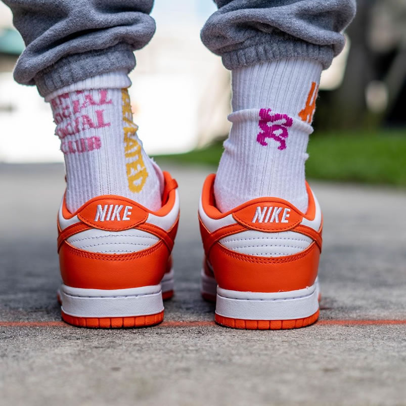 Nike Sb Dunk Low Sp Syracuse Orange Blaze Cu1726 101 On Feet (8) - www.newkick.org Nike Sb Dunk Low Sp Syracuse Orange Blaze Cu1726 101 On Feet (8) - www.newkick.org