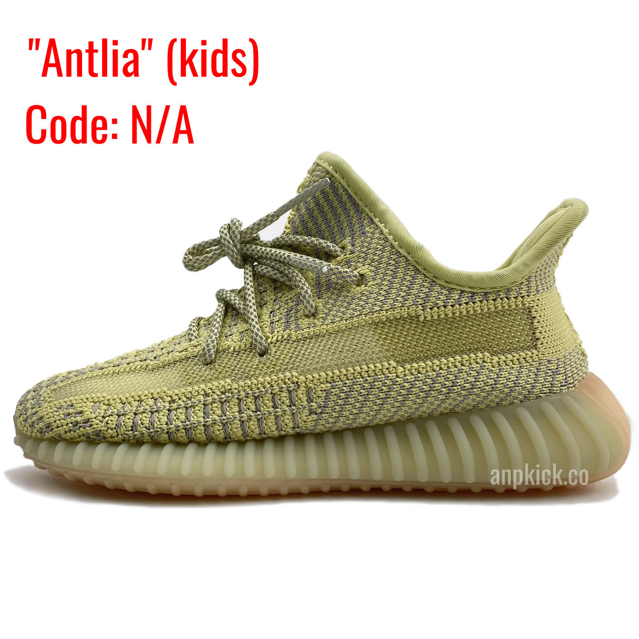 Kids Antlia - www.newkick.org