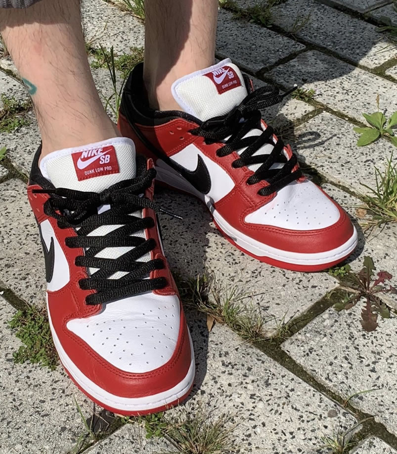 Nike Sb Dunk Low Pro Chicago Varsity Red Release Date On Feet Bq6817 600 (7) - www.newkick.org