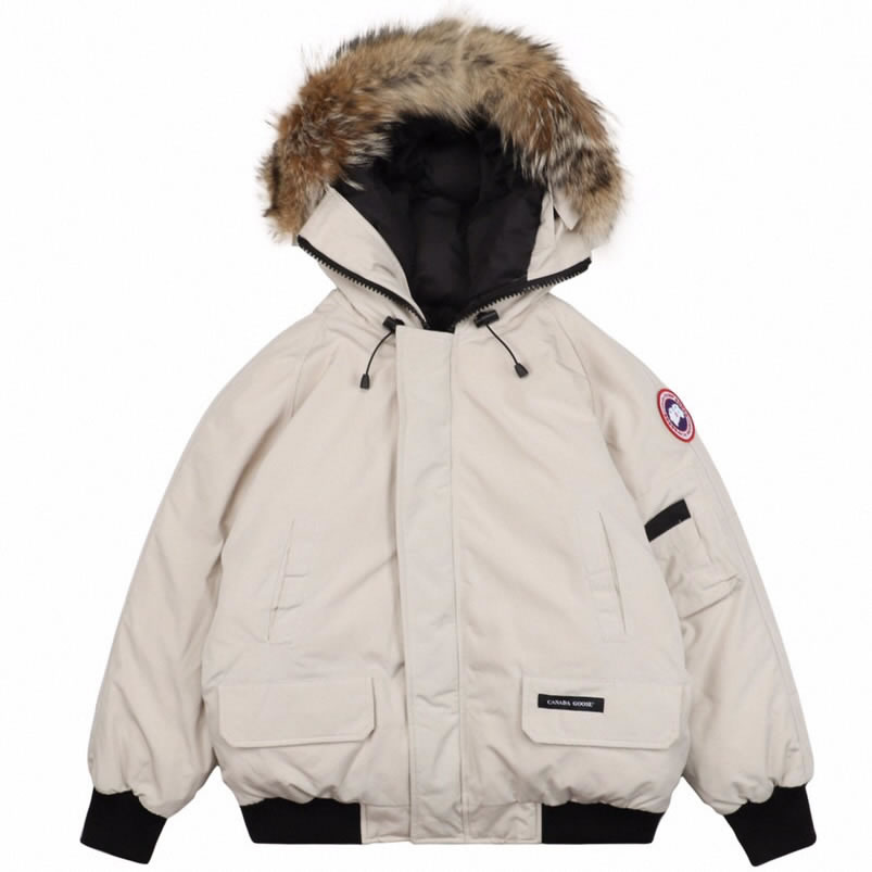 01 Canada Goose 19fw Pbi Chilliwack 7999mpb Down Jacket Coat Cream White (1) - www.newkick.vip 01 Canada Goose 19fw Pbi Chilliwack 7999mpb Down Jacket Coat Cream White (1) - www.newkick.vip