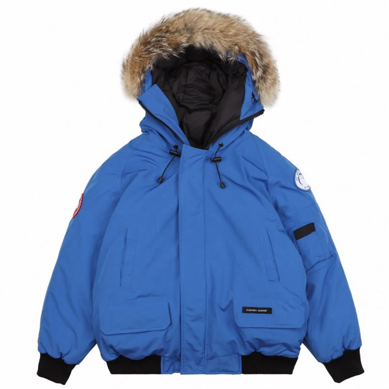 01 Canada Goose 19fw Pbi Chilliwack 7999mpb Down Jacket Coat Sky Blue (1) - www.newkick.vip