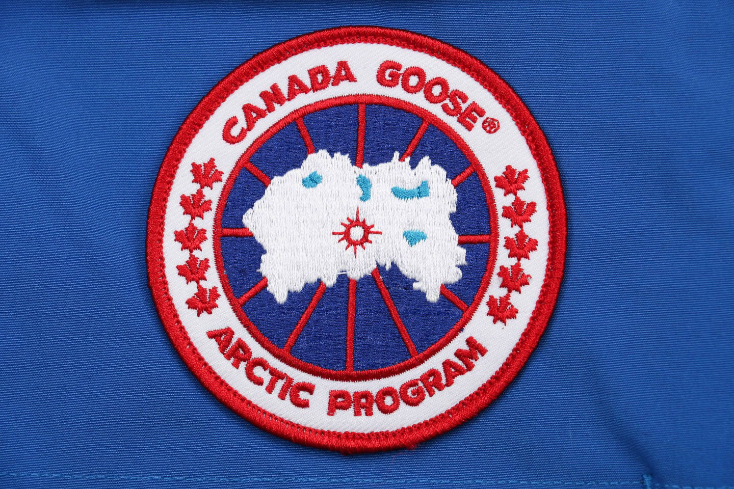 08 Canada Goose 19fw Expedition 4660ma Down Jacket Coat Sky Blue (6) - www.newkick.org 08 Canada Goose 19fw Expedition 4660ma Down Jacket Coat Sky Blue (6) - www.newkick.org