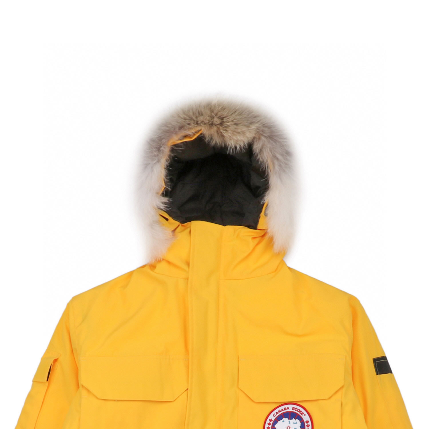 08 Canada Goose 19fw Expedition 4660ma Down Jacket Coat Yellow (4) - www.newkick.org 08 Canada Goose 19fw Expedition 4660ma Down Jacket Coat Yellow (4) - www.newkick.org