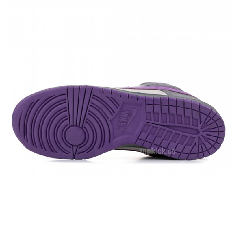 Nike Dunk Sb Low Purple Pigeon 304292 051 (5) - www.newkick.vip Nike Dunk Sb Low Purple Pigeon 304292 051 (5) - www.newkick.vip