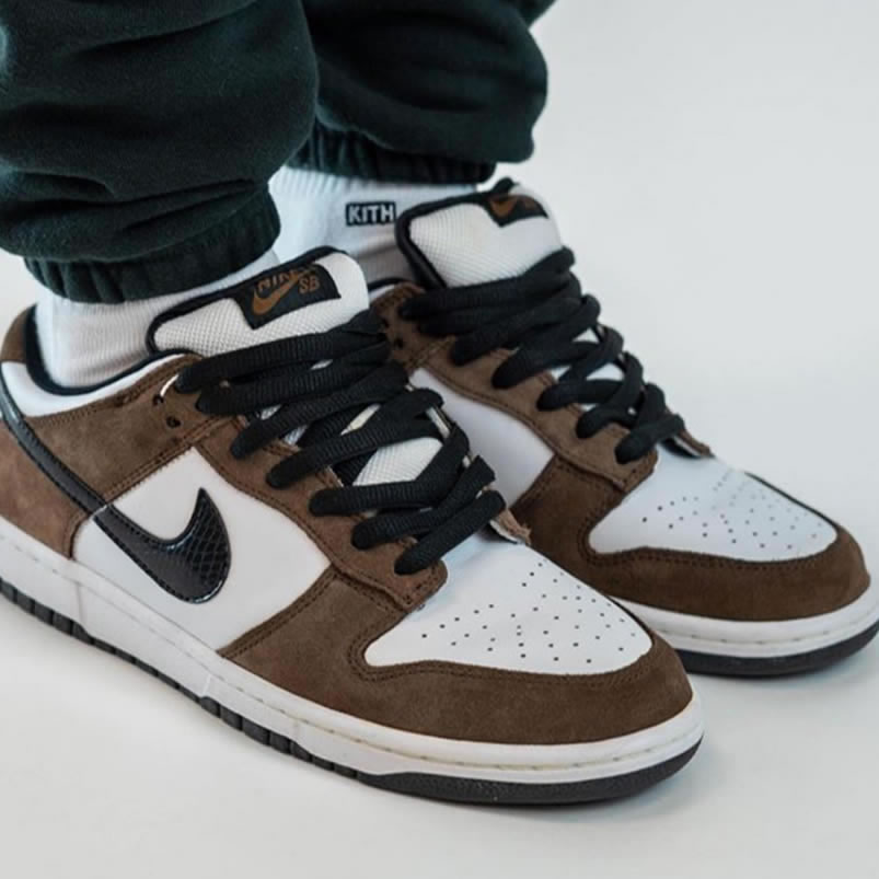 Nike Sb Dunk Low Trail End Brown Black White On Feet 304292 102 (1) - www.newkick.org Nike Sb Dunk Low Trail End Brown Black White On Feet 304292 102 (1) - www.newkick.org