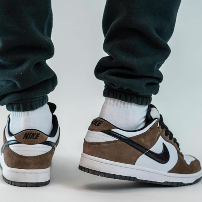 Nike Sb Dunk Low Trail End Brown Black White On Feet 304292 102 (2) - www.newkick.org Nike Sb Dunk Low Trail End Brown Black White On Feet 304292 102 (2) - www.newkick.org