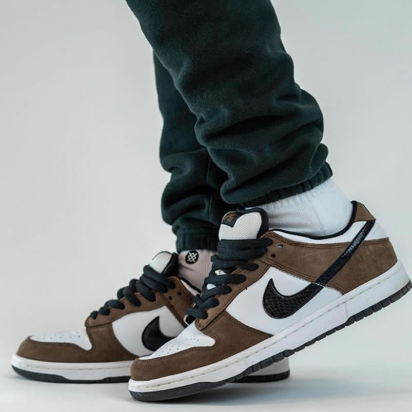 Nike Sb Dunk Low Trail End Brown Black White On Feet 304292 102 (3) - www.newkick.org Nike Sb Dunk Low Trail End Brown Black White On Feet 304292 102 (3) - www.newkick.org