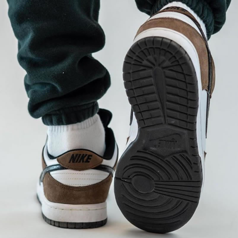 Nike Sb Dunk Low Trail End Brown Black White On Feet 304292 102 (4) - www.newkick.org Nike Sb Dunk Low Trail End Brown Black White On Feet 304292 102 (4) - www.newkick.org