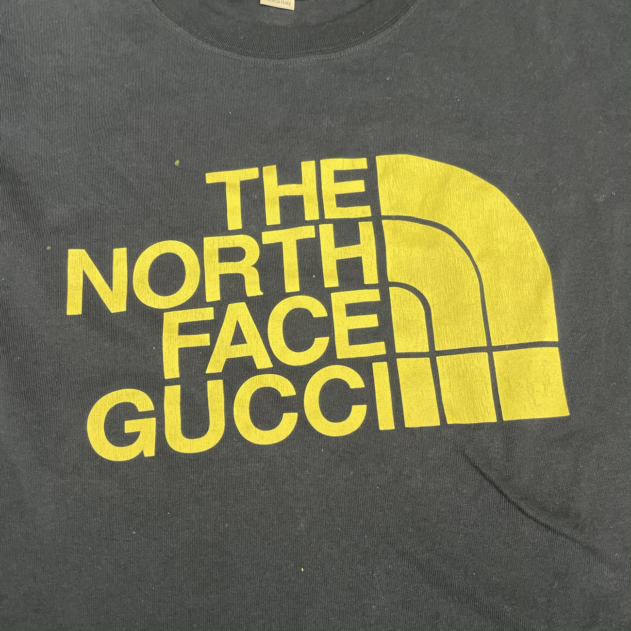 Thenorthfacegucci T Shirt (4) - www.newkick.org