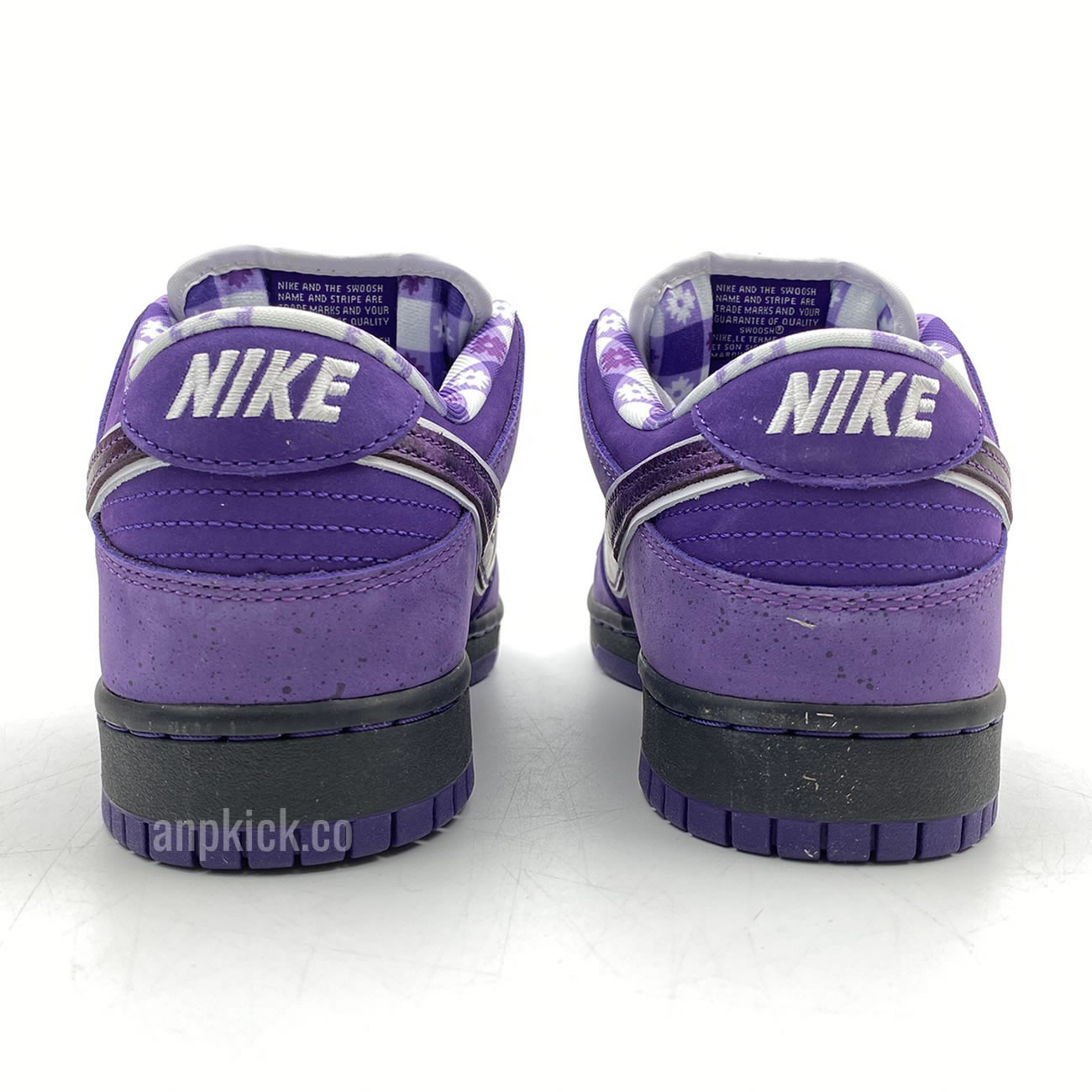 Anpkick Nike Sb Dunk Low Concepts Purple Lobster Bv1310 55570 (5) - www.newkick.org Anpkick Nike Sb Dunk Low Concepts Purple Lobster Bv1310 55570 (5) - www.newkick.org