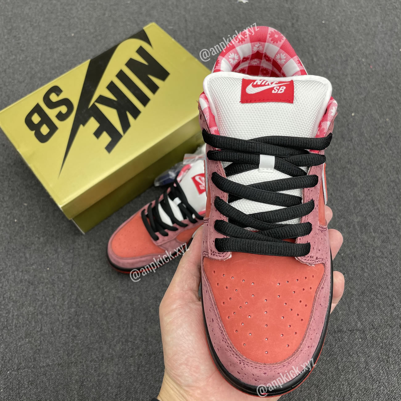 Anpkick Nike Sb Dunk Low Concepts Red Lobster 313170 661 (5) - www.newkick.org Anpkick Nike Sb Dunk Low Concepts Red Lobster 313170 661 (5) - www.newkick.org