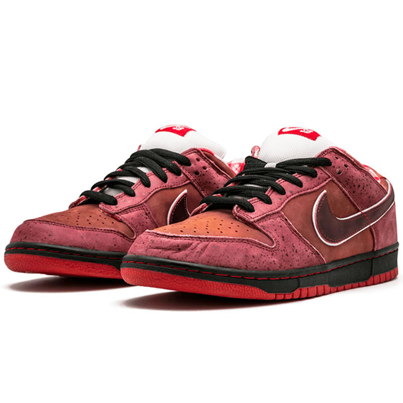 Nike Sb Dunk Low Concepts Red Lobster 313170 661 (2) - www.newkick.org Nike Sb Dunk Low Concepts Red Lobster 313170 661 (2) - www.newkick.org