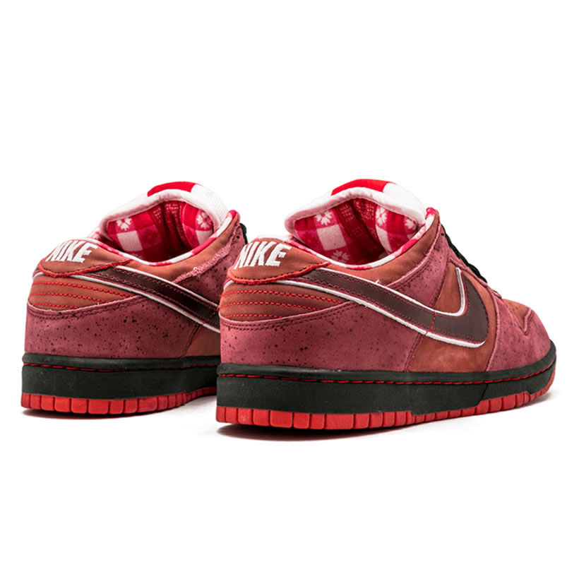 Nike Sb Dunk Low Concepts Red Lobster 313170 661 (3) - www.newkick.org Nike Sb Dunk Low Concepts Red Lobster 313170 661 (3) - www.newkick.org