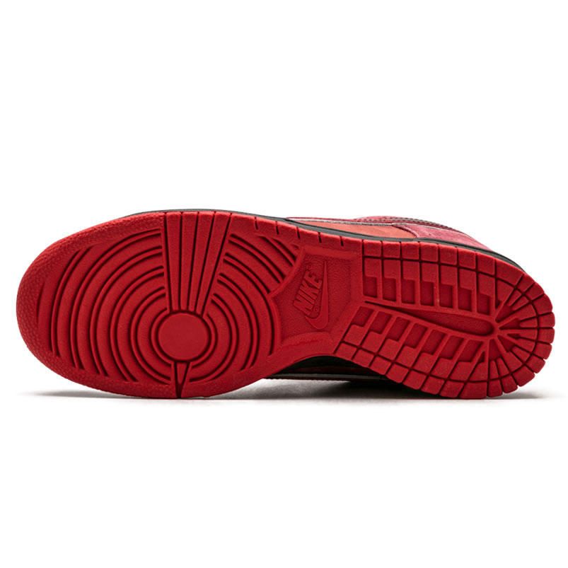 Nike Sb Dunk Low Concepts Red Lobster 313170 661 (4) - www.newkick.org Nike Sb Dunk Low Concepts Red Lobster 313170 661 (4) - www.newkick.org