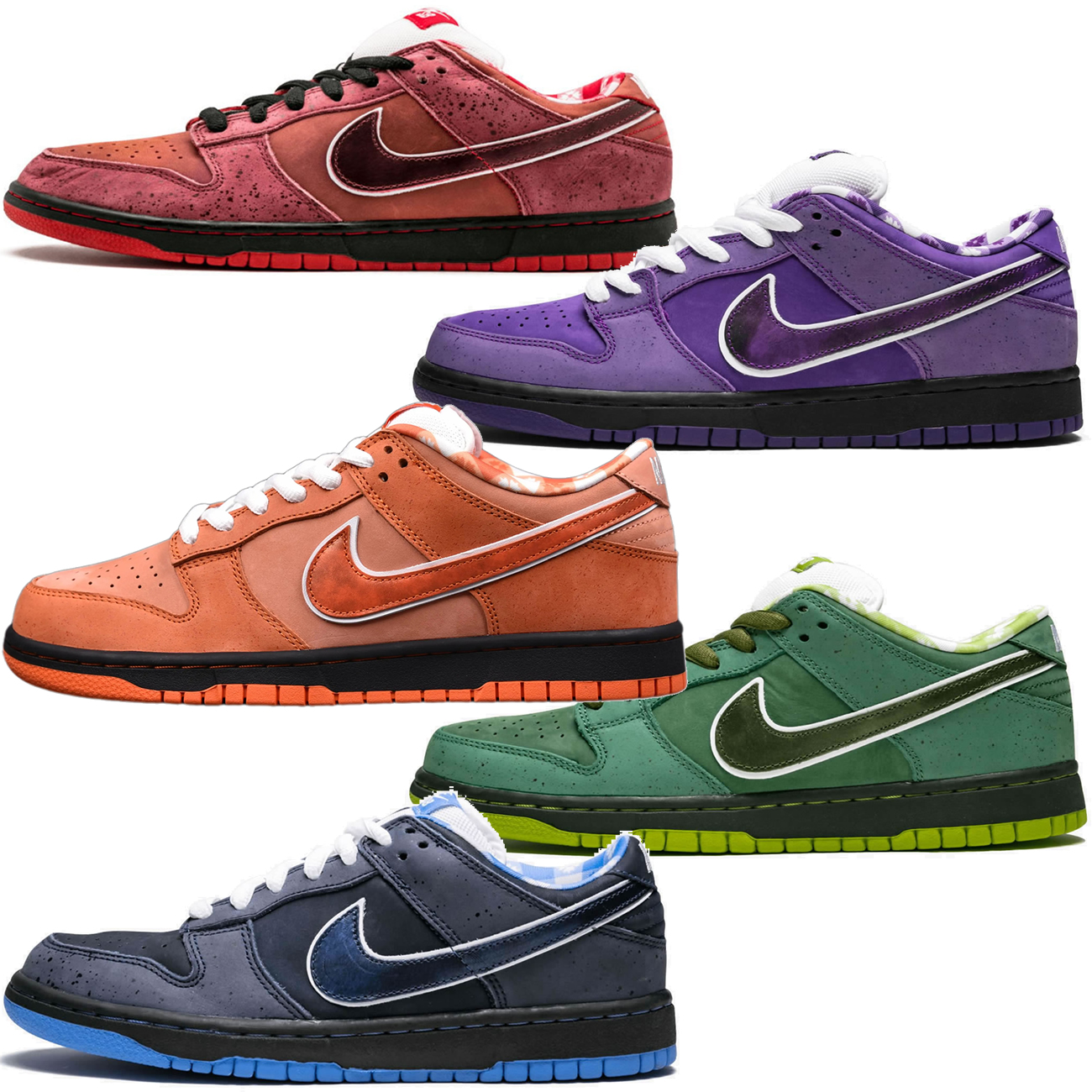 Nike Sb Dunk Low Concepts Red Lobster Fd8776 800 (60) - www.newkick.org Nike Sb Dunk Low Concepts Red Lobster Fd8776 800 (60) - www.newkick.org