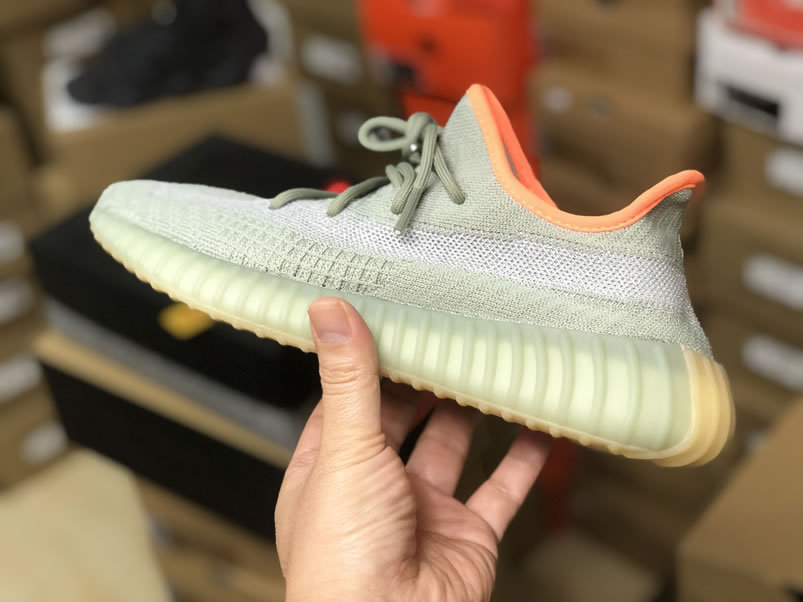 Adidas Yeezy Boost 350 V2 Desert Sage Anpkick Release Date Fx9035 (5) - www.newkick.org Adidas Yeezy Boost 350 V2 Desert Sage Anpkick Release Date Fx9035 (5) - www.newkick.org