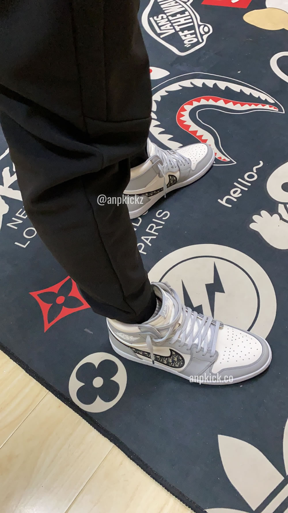 Dior Air Jordan 1 High Og Cn8607 002 On Feet Anpkickz (4) - www.newkick.org