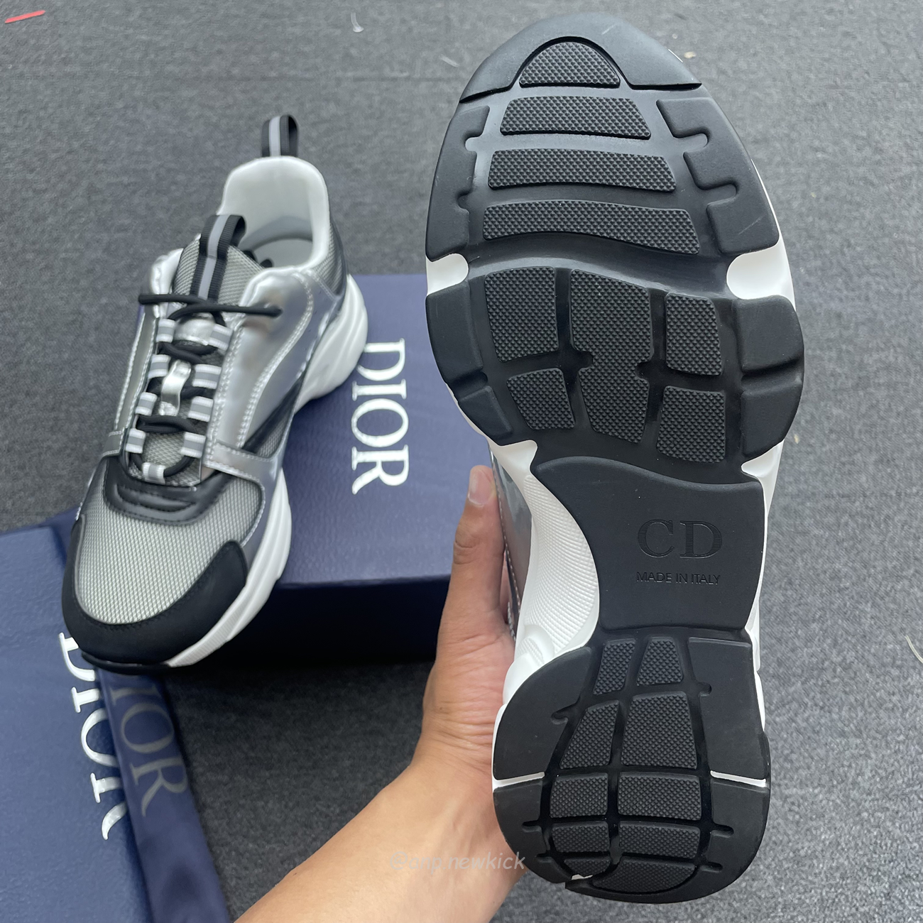 Dior B22 Silvery (8) - www.newkick.org