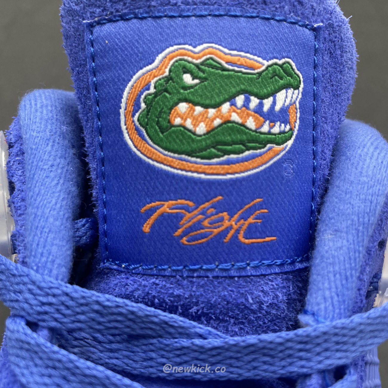 Air Jordan 4 Retro Florida Gators 904283 (5) - www.newkick.vip