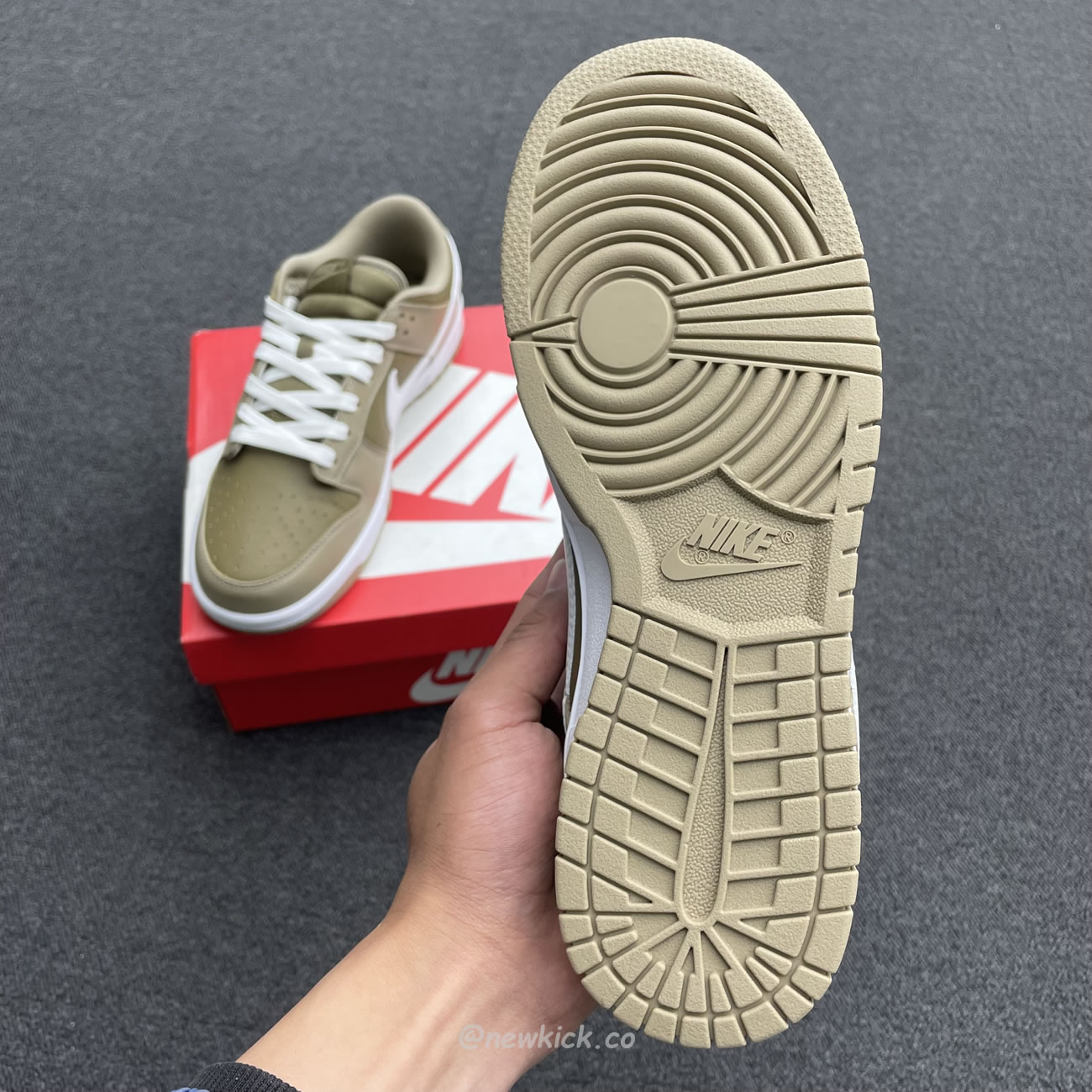 Nike Dunk Low Judge Grey Dj6188 200 (21) - www.newkick.org