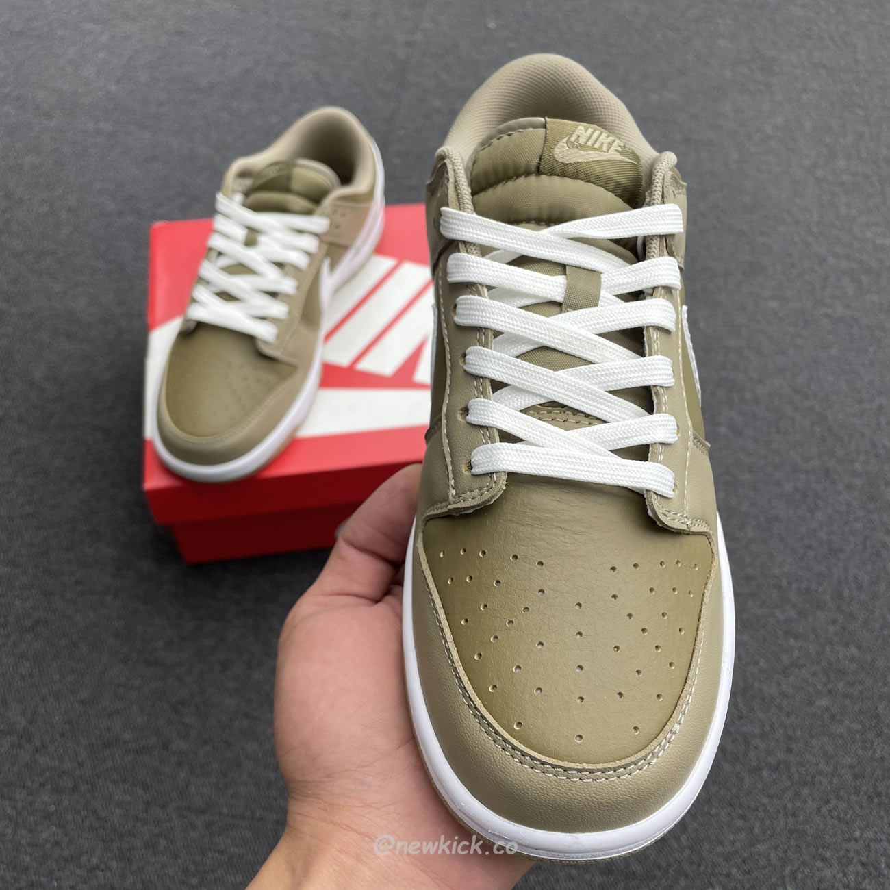 Nike Dunk Low Judge Grey Dj6188 200 (22) - www.newkick.org