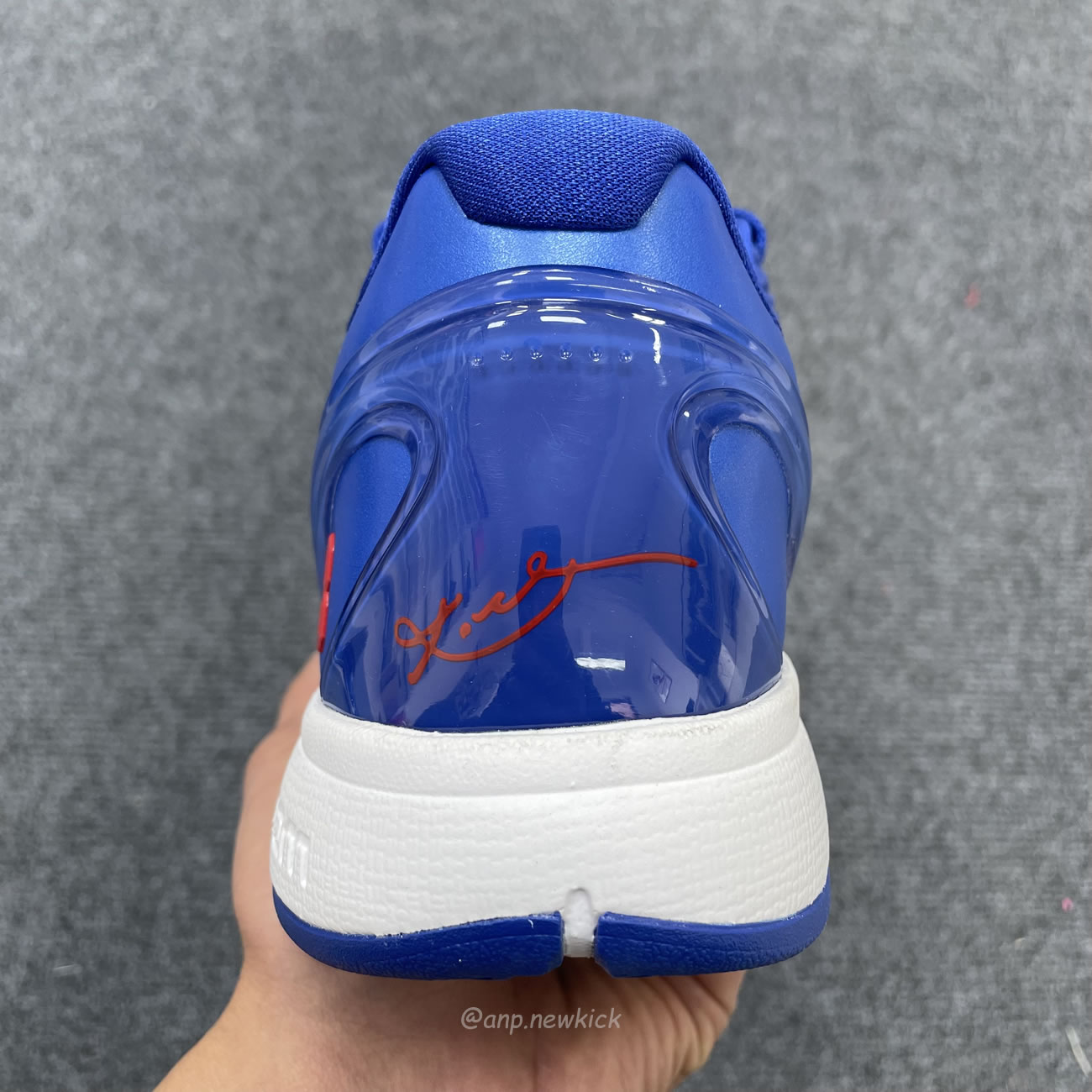 Nike Kobe 6 Protro Dodgers Cw2190 400 (3) - www.newkick.org