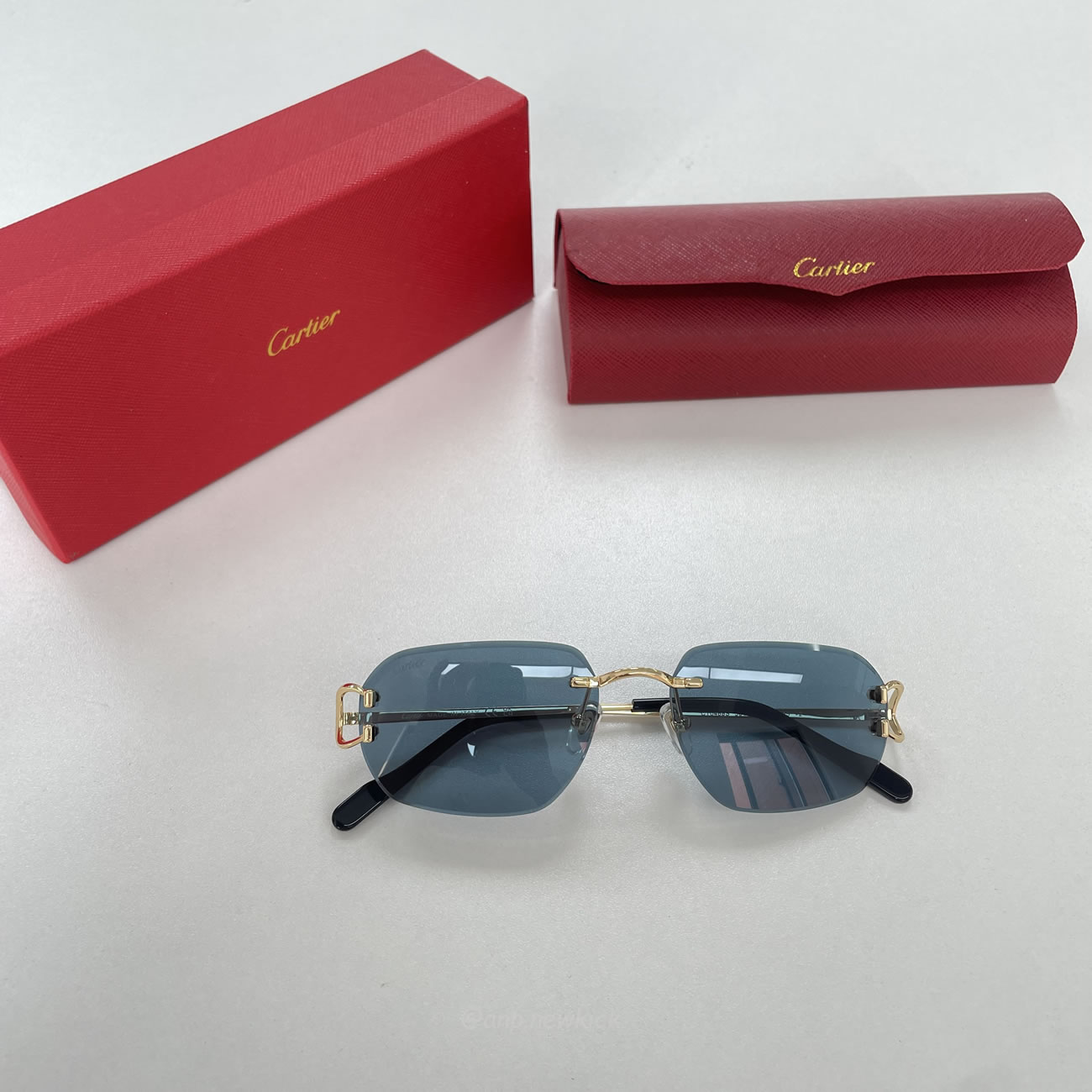 Cartier Eyewear Rimless Rectangle Frame Sunglasses (3) - www.newkick.org