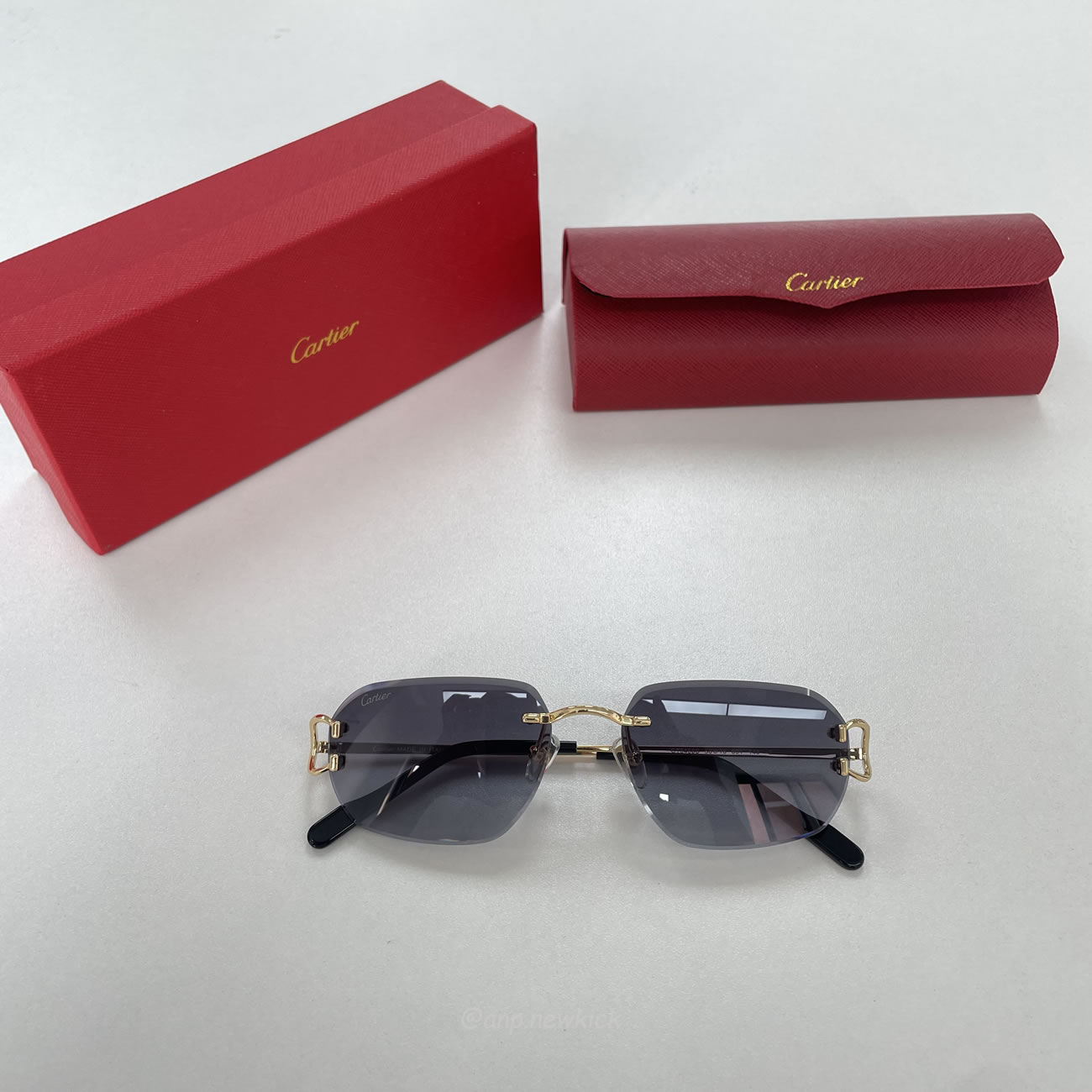 Cartier Eyewear Rimless Rectangle Frame Sunglasses (4) - www.newkick.org