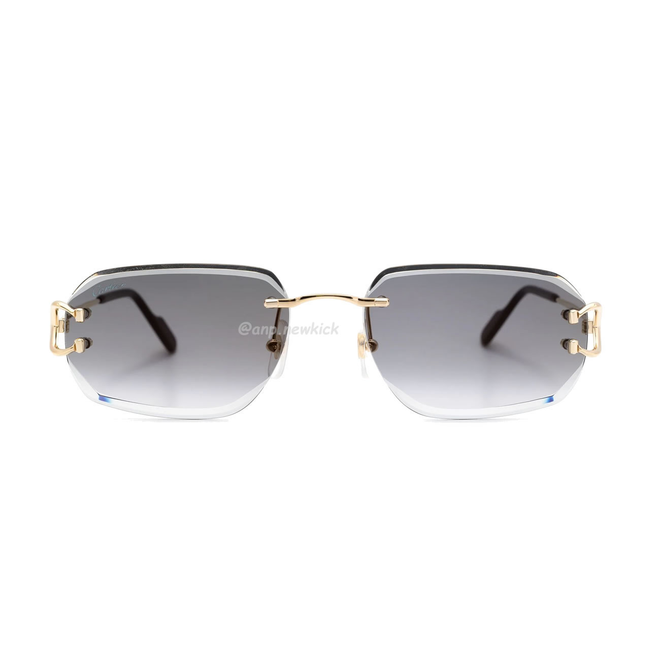 Cartier Eyewear Rimless Rectangle Frame Sunglasses (6) - www.newkick.org