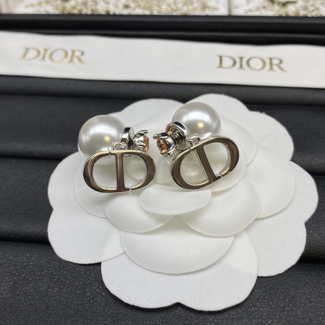 Dior Earrings (13) - www.newkick.org Dior Earrings (13) - www.newkick.org