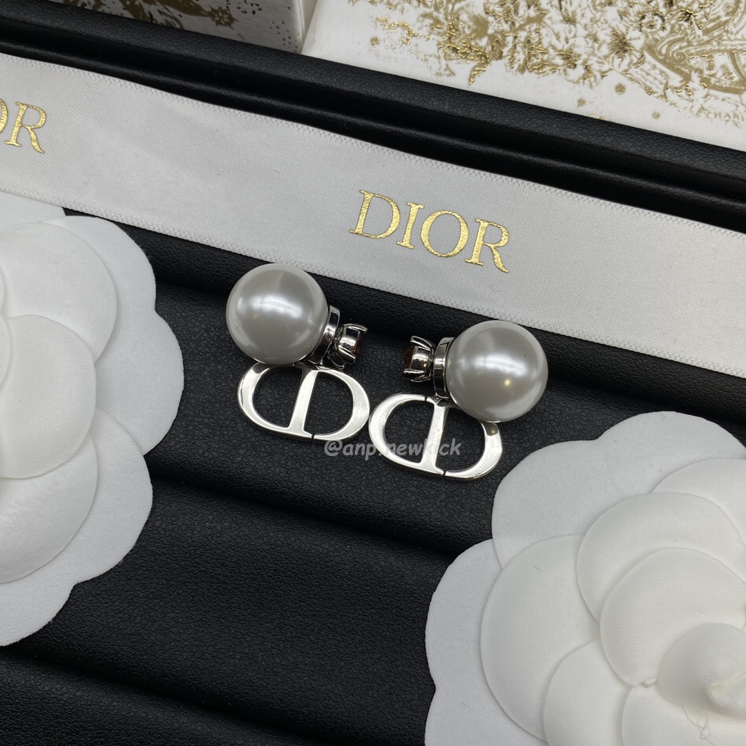 Dior Earrings (14) - www.newkick.org Dior Earrings (14) - www.newkick.org