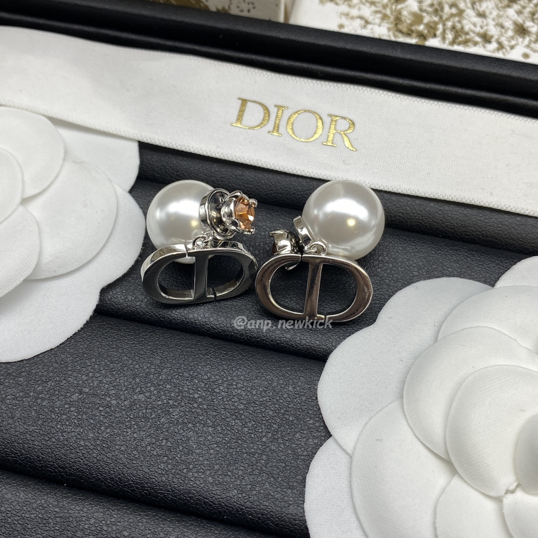 Dior Earrings (17) - www.newkick.org Dior Earrings (17) - www.newkick.org