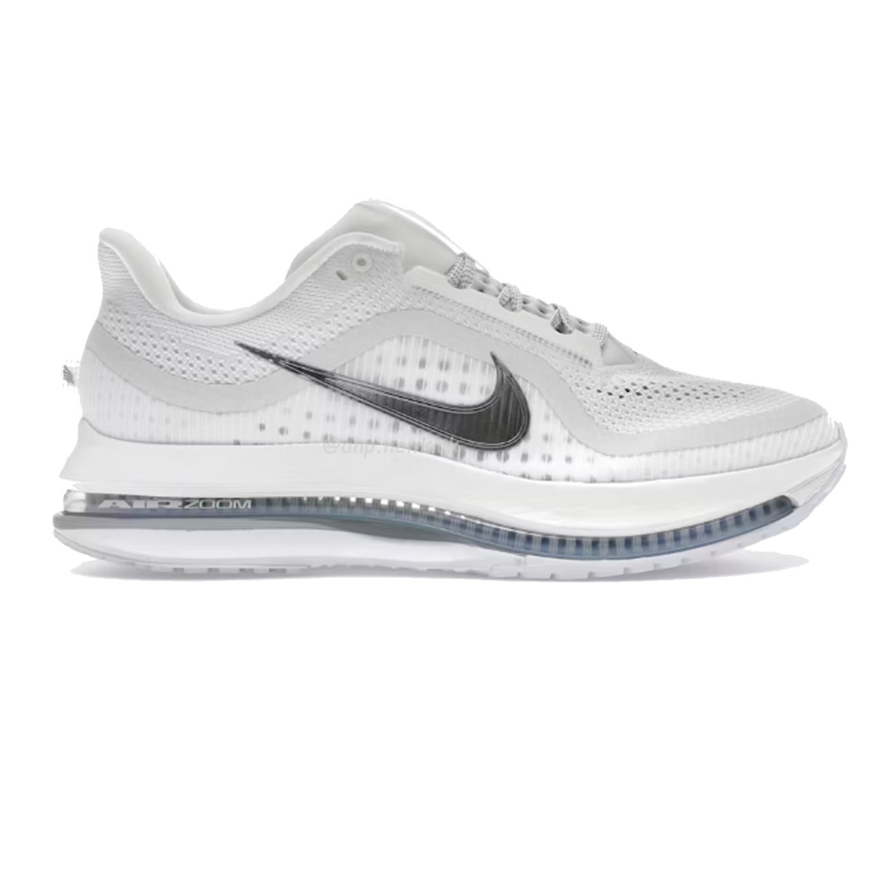 Nike Air Zoom Pegasus Premium Airscape (2) - www.newkick.org