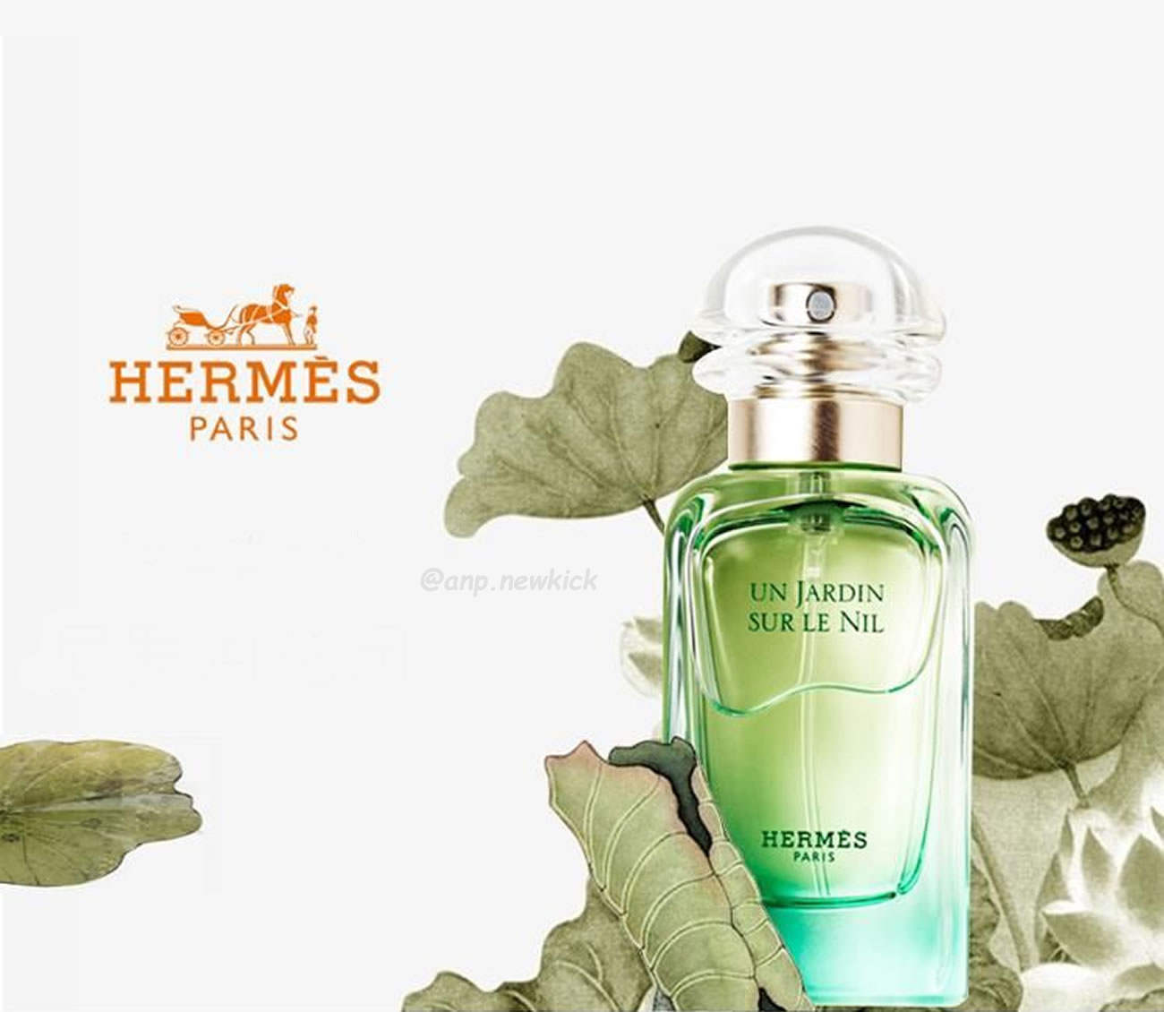 Hermes Nile Womens Garden Flower And Fruit Fragrance 100ml (1) - www.newkick.org Hermes Nile Womens Garden Flower And Fruit Fragrance 100ml (1) - www.newkick.org