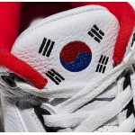 Air Jordan 3 "Seoul" South Korea AV8370-100