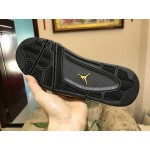 Air Jordan 4 "Wings" 724142-899
