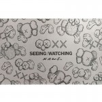 Kaws Seeing Watching Grey 
