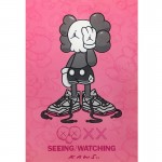 Kaws Watermelon Red 