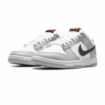 Nike Dunk Low SE Lottery Pack Grey Fog DR9654-001