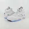 白银 White Metallic（2026）