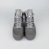 灰狼 Wolf Grey