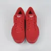 大学红 UNIVERSITY RED