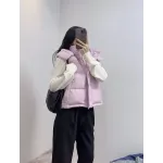 lululemon Four-Panel Down Vest - Pink