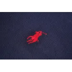 Ralph Lauren Embroidered Pony Half-Zip Sweatshirt - Navy