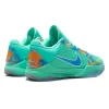Nike Zoom Kobe 5 Protro 