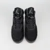 Air Jordan 5 